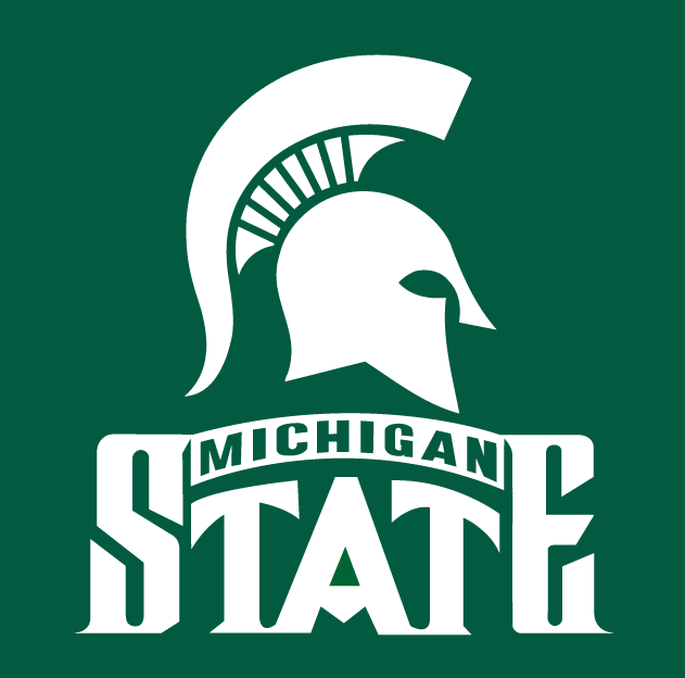 Michigan State Spartans 1987-Pres Alternate Logo v2 diy fabric transfer